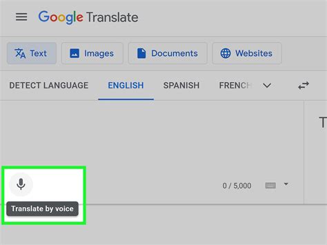Google Translate.